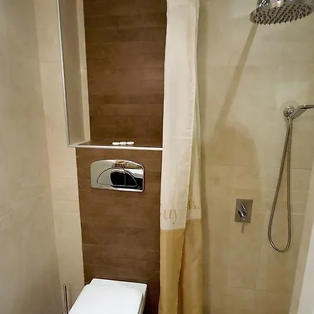 Apartment Vladayska Sofia